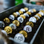 Photo by RODNAE Productions from Pexels
