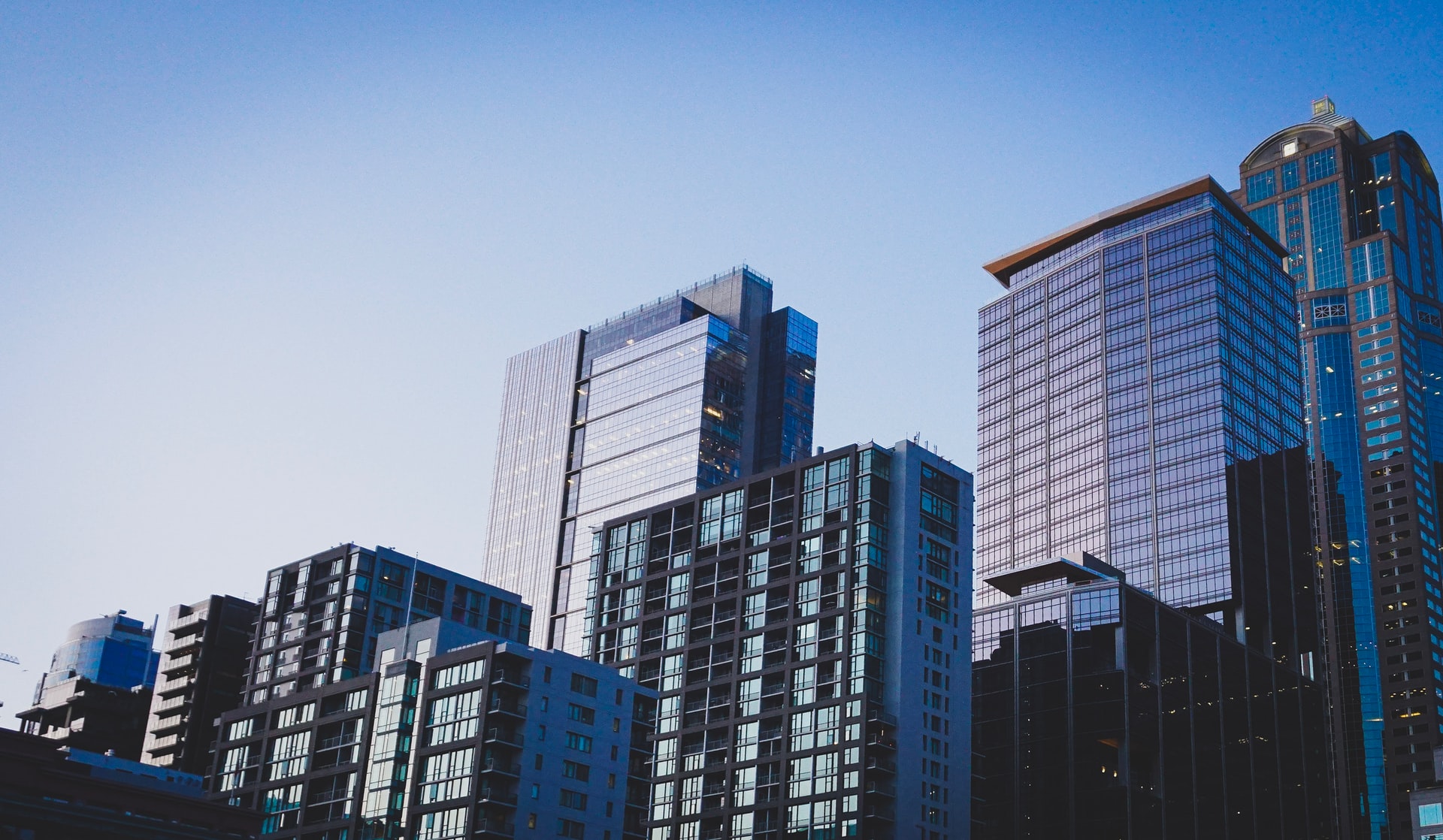 Photo by Jason Dent on Unsplash