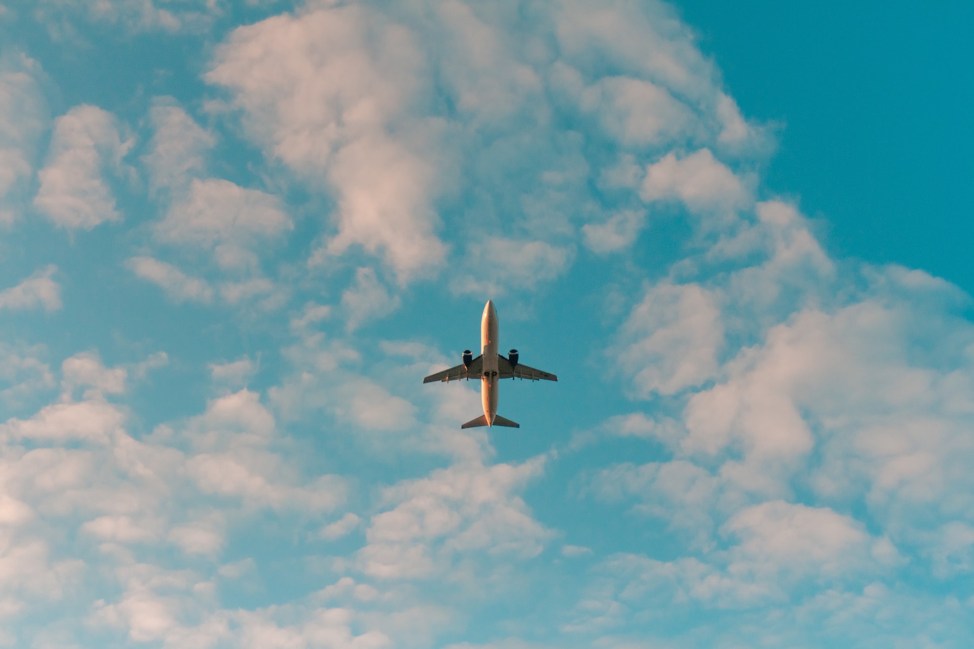 Photo by Philip Myrtorp on Unsplash