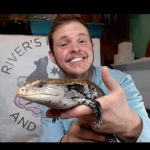 River Lismer : River's Rodents and Reptiles