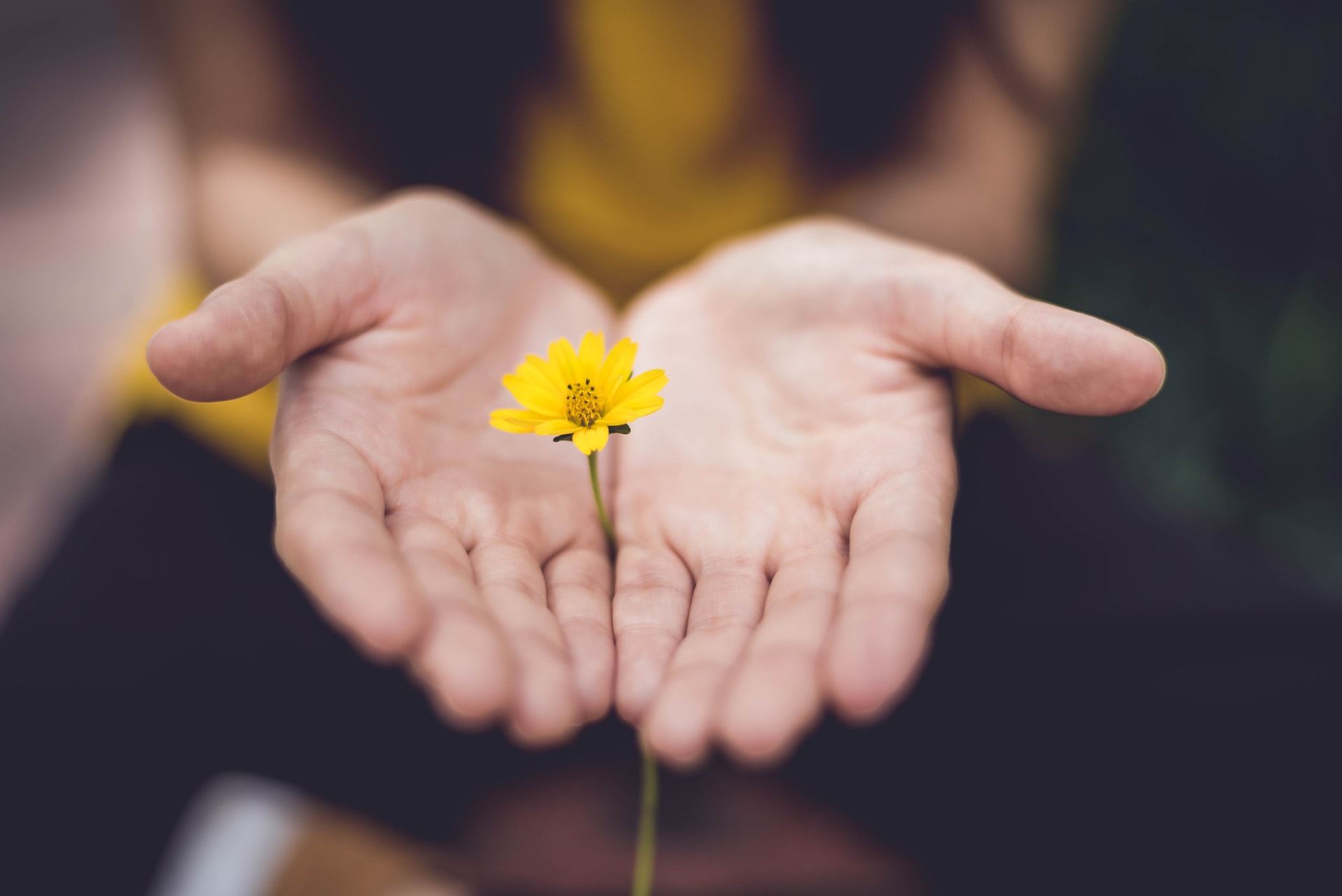 Giving a gift to your customers can be a great marketing technique