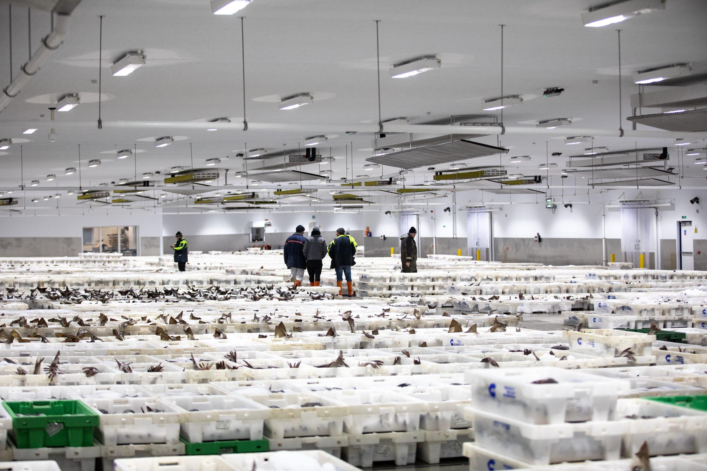 What Is A Cold Storage Warehouse?