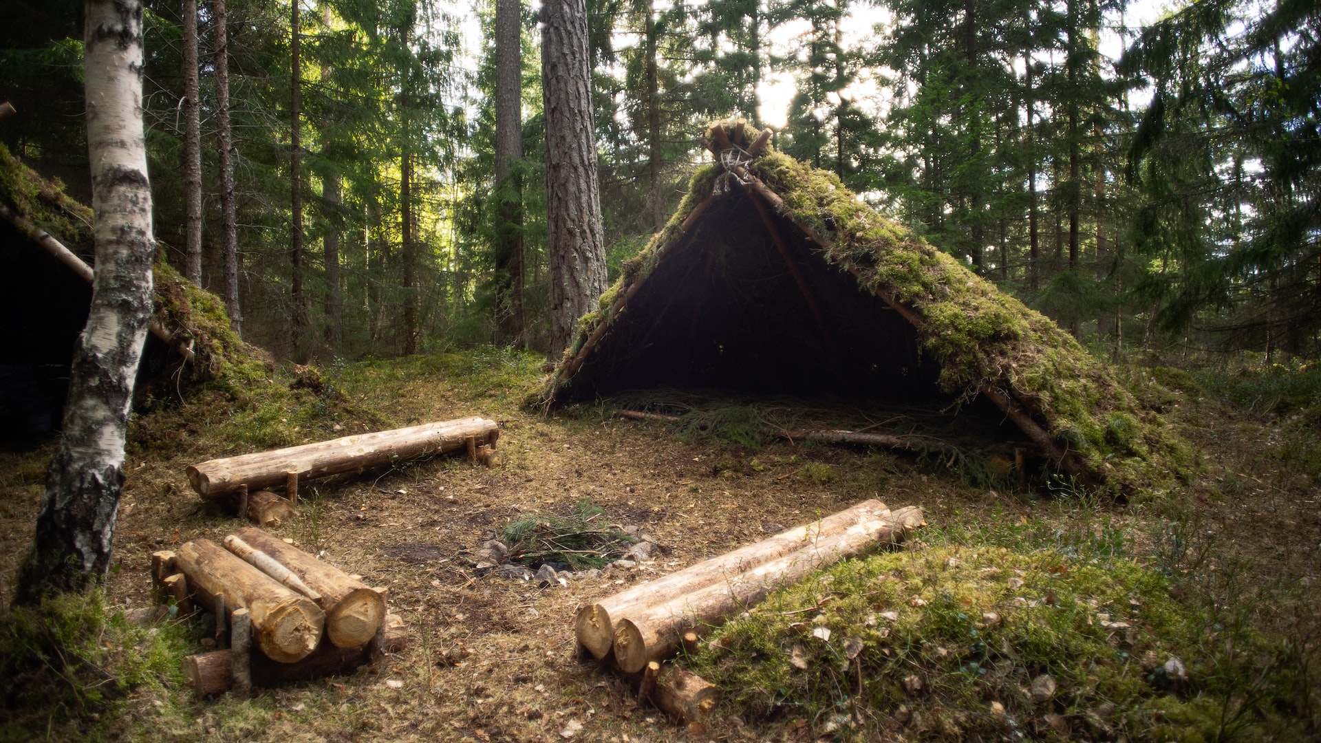 Photo by Caspian Dahlström on Unsplash