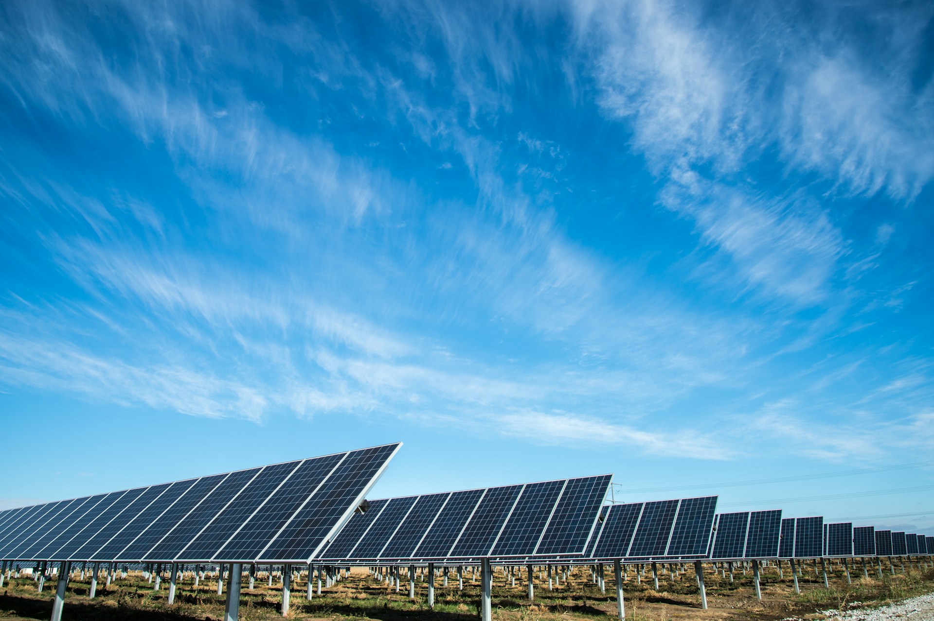 Top 6 Renewable Energy Sources Revolutionising Business Electricity